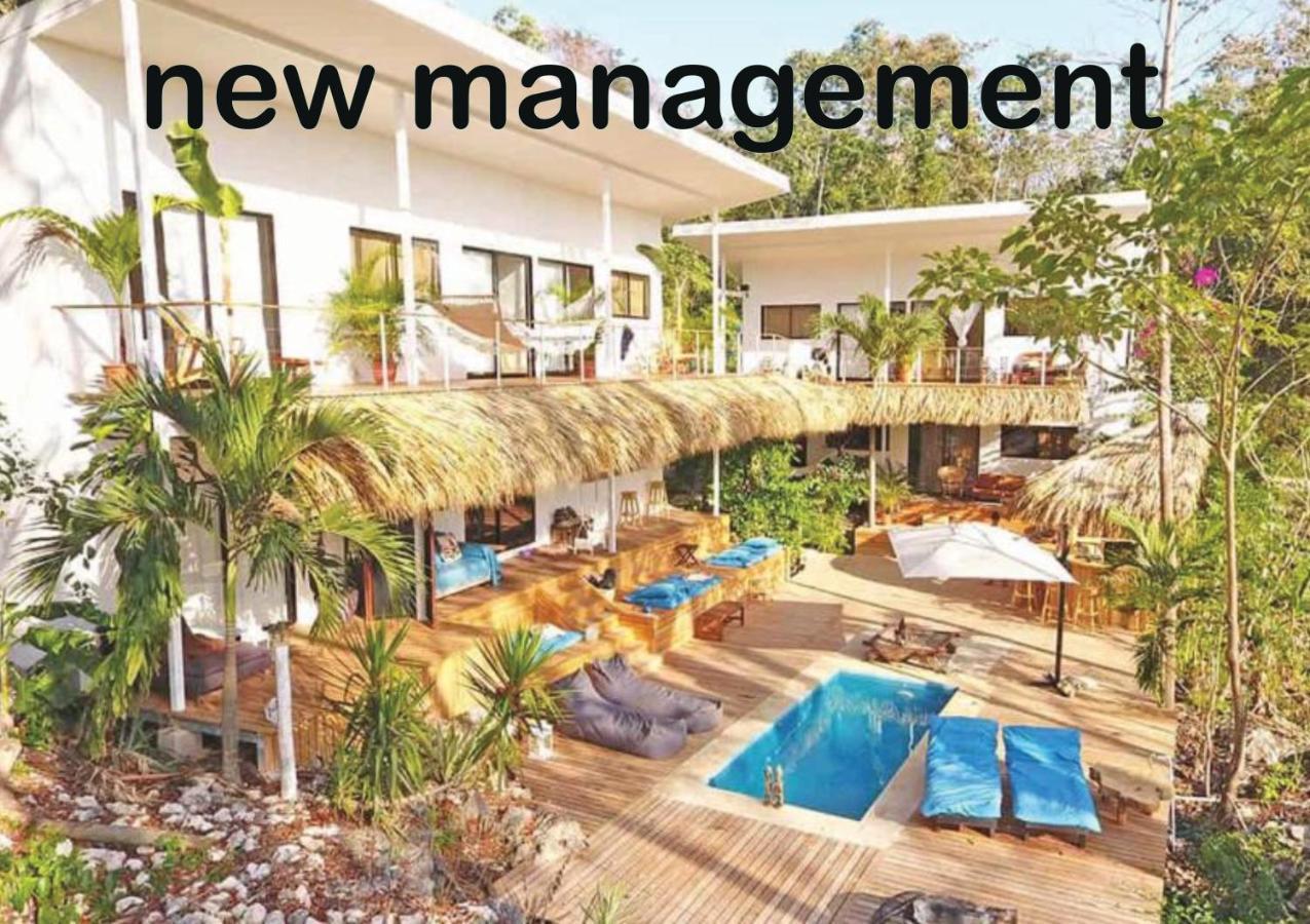 La Sana Surf Hotel - New Management Playa Santa Teresa (Puntarenas) Exterior foto